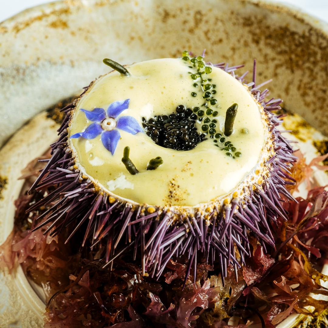 Erizo de mar con algas, caviar Baerii y uva de mar © Local de Ensayo