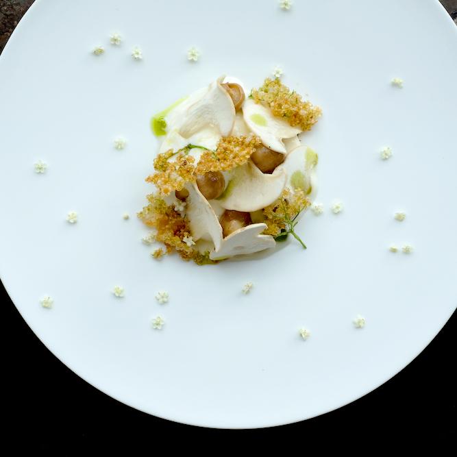 Perretxicos mushrooms, pine nut cream, butter escabeche and elderflower © Casa Marcial 