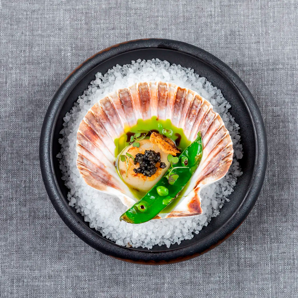 Vieiras a la plancha, caviar, jugo de pollo a la brasa, guisantes del Maresme estofado © Mas Salagros EcoResort 5*/Restaurante 1497