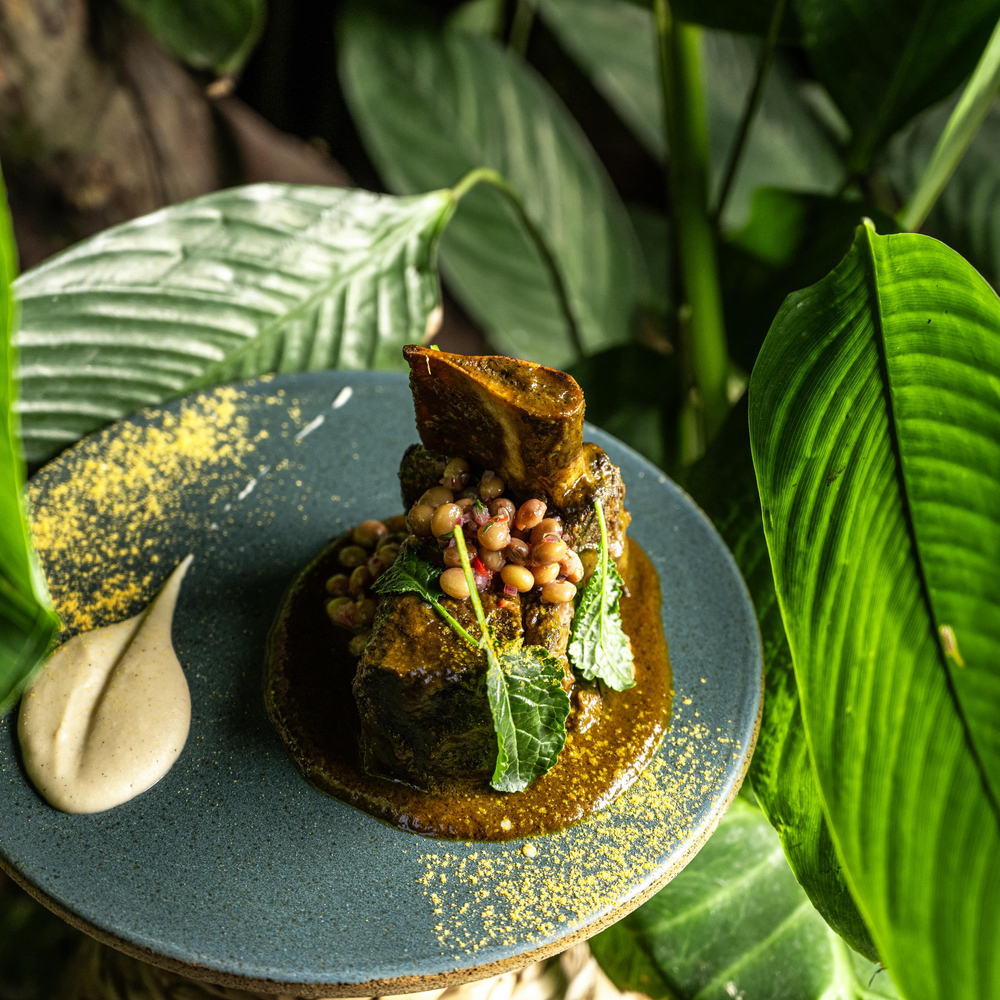 Seco norteño, a Peruvian-inspired dish from the restaurant Ama.zo, in São Paulo. © Luis Morales/Ama.zo