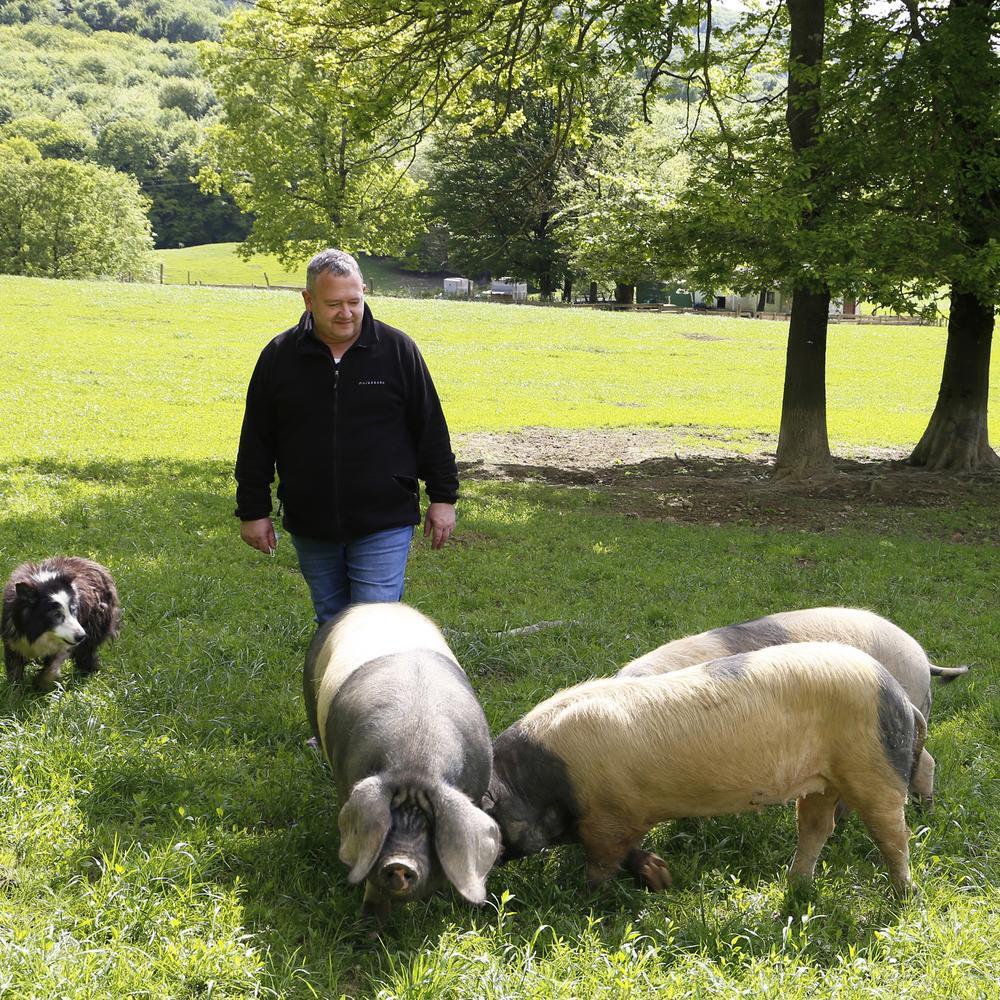 José Ignacio Jauregui junto a algunos ejemplares de “Euskal Txerri” © Maskarada