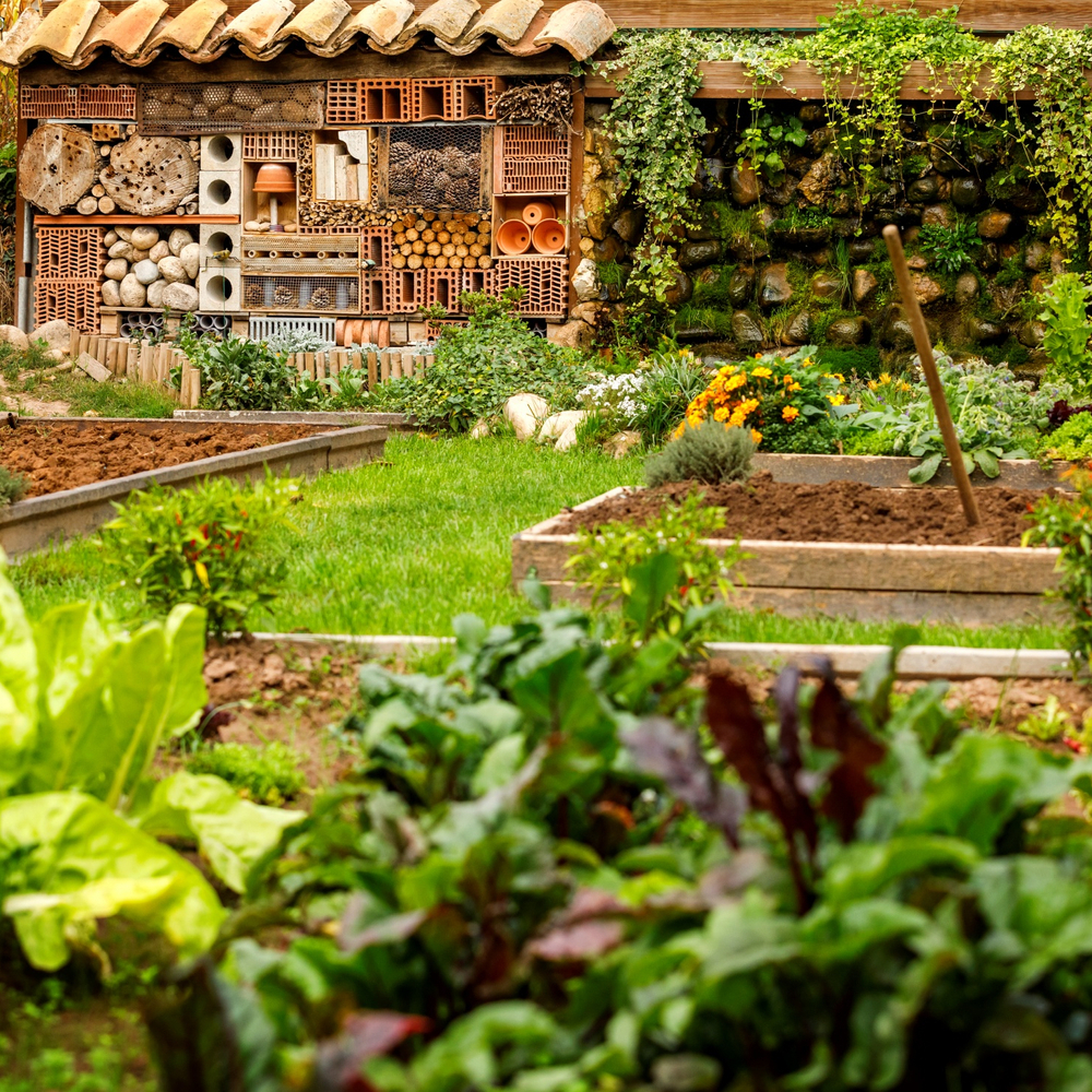 Vista de su huerto, con el “hotel de insectos” para prevenir las plagas © Justo Rodríguez/Venta Moncalvillo