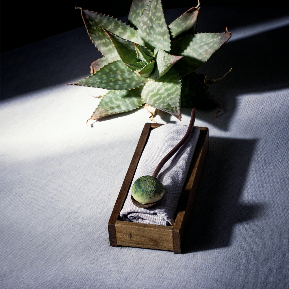 Bombón de Aloe Vera © Eugenio Mazzinghi/Aramburu